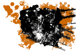 Mapy Turystyczne Gór Mapy-Turystyczne-Gór